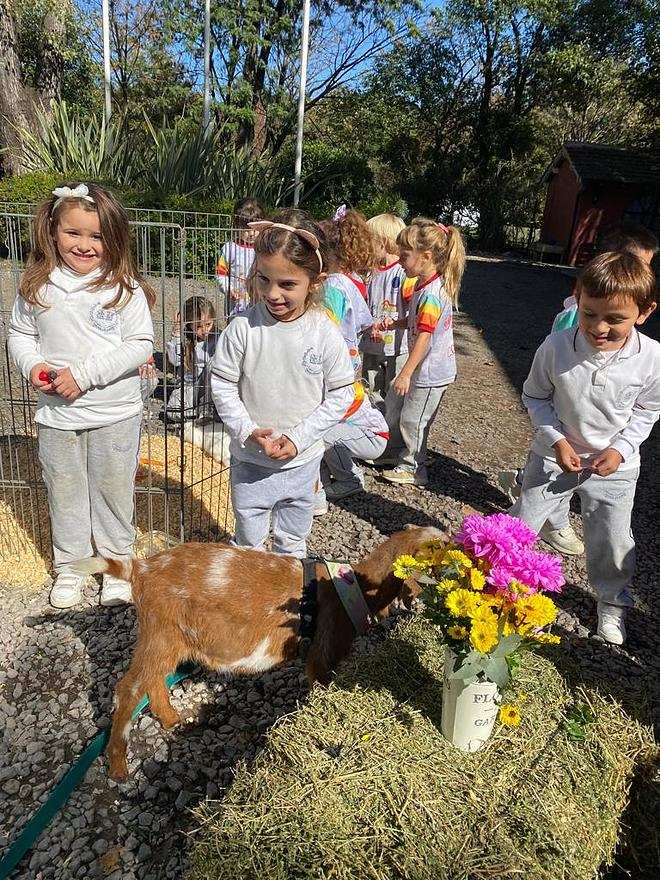 Comenzó el Programa Municipal “La Granja en mi Escuela”