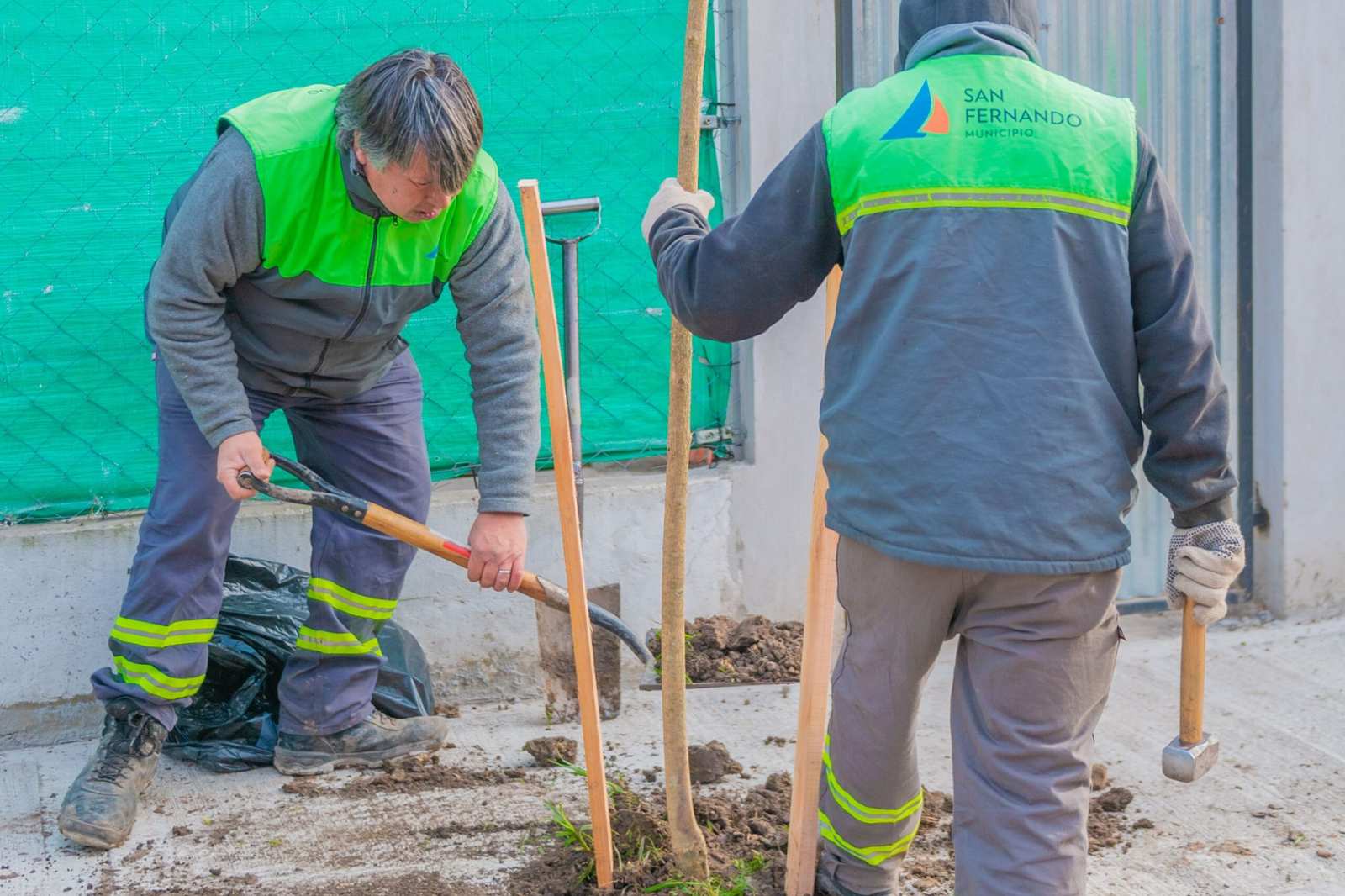 San Fernando sigue plantando nuevos árboles en distintos barrios
