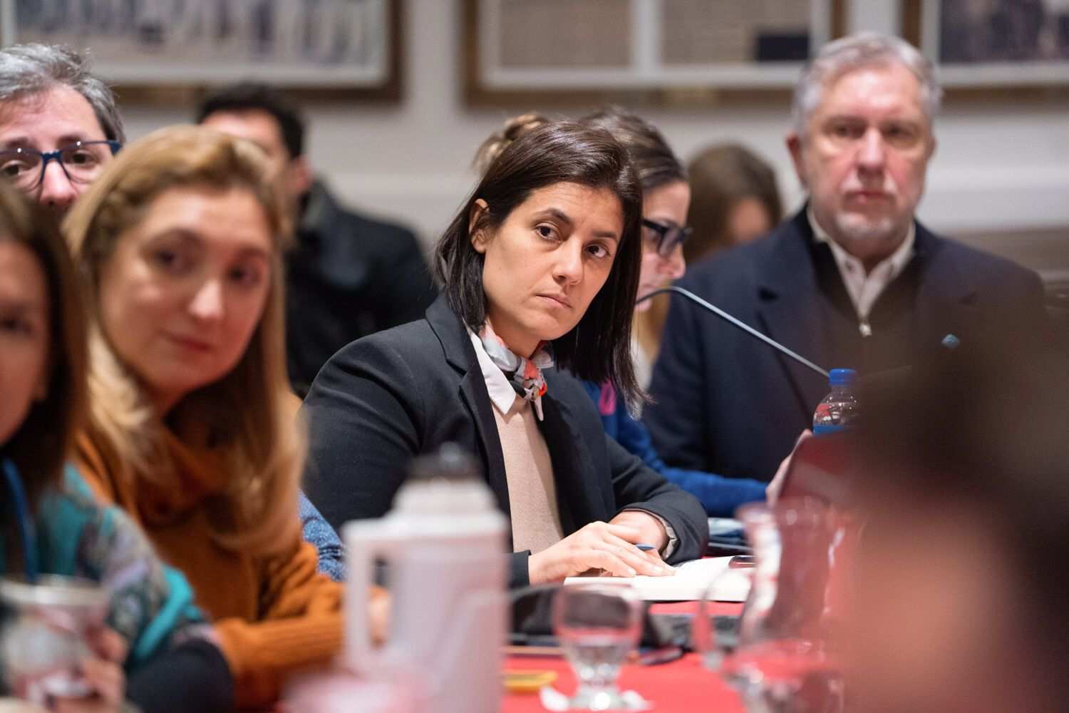 En el debate, la boleta única de papel suma críticas por su compleja instrumentación: “Claramente solo está en la agenda de algunos dirigentes de Juntos por el Cambio” sostuvo la legisladora, Sofía Vannelli.