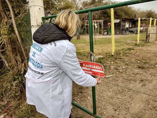 La Municipalidad de Escobar clausuró un criadero de cerdos clandestino