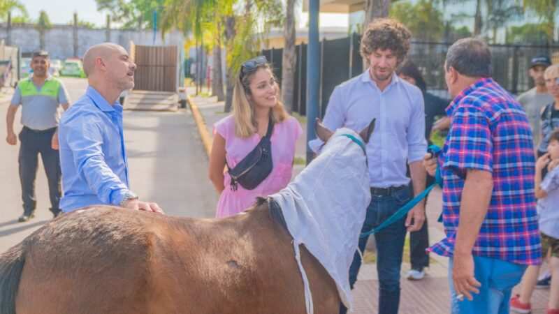 San Fernando sin tracción a sangre: liberaron al caballo ‘Corto’ y entregaron una moto eléctrica a su anterior dueño