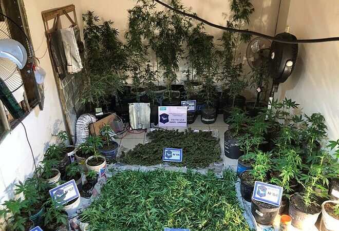 Récord histórico de allanamientos contra la venta de droga: Escobar sigue a la cabeza en la lucha contra el narcotráfico