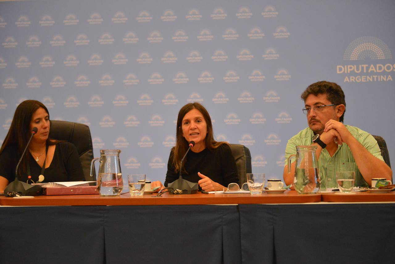 Raverta:”Es urgente que las y los diputados traten la ley de pago de Deuda Previsional