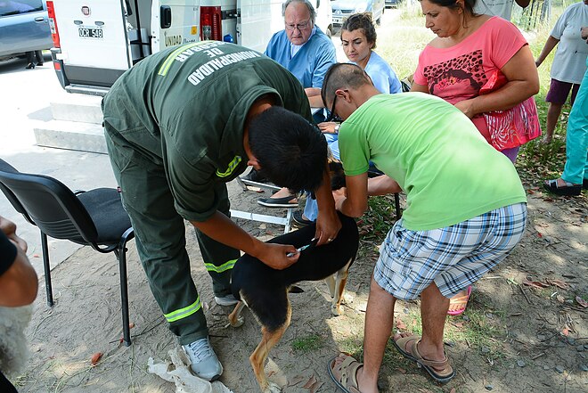 Zoonosis Escobar: continúan las jornadas gratuitas de vacunación y castración en las distintas localidades