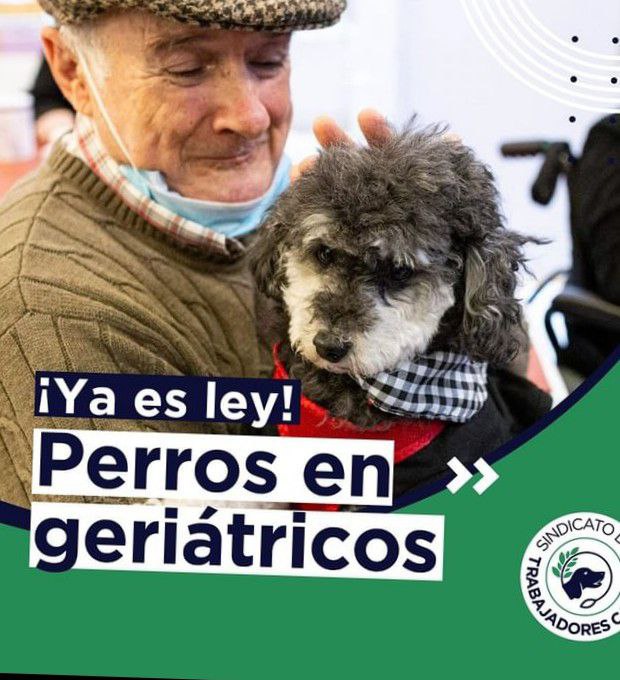 Los geriátricos porteños podrán adoptar y recibir visitas de animales de compañía