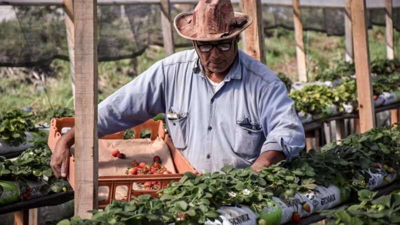 Productores de Escobar recibieron ayuda del Ministerio de Economía por los daños causados durante el temporal de agosto