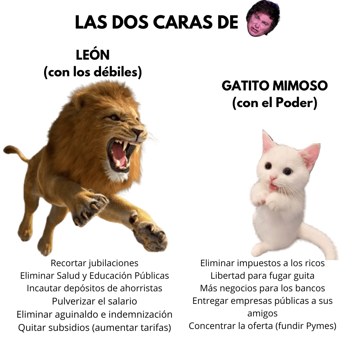 Escobar: el candidato a intendente de Milei persigue judicialmente a militante social por un meme