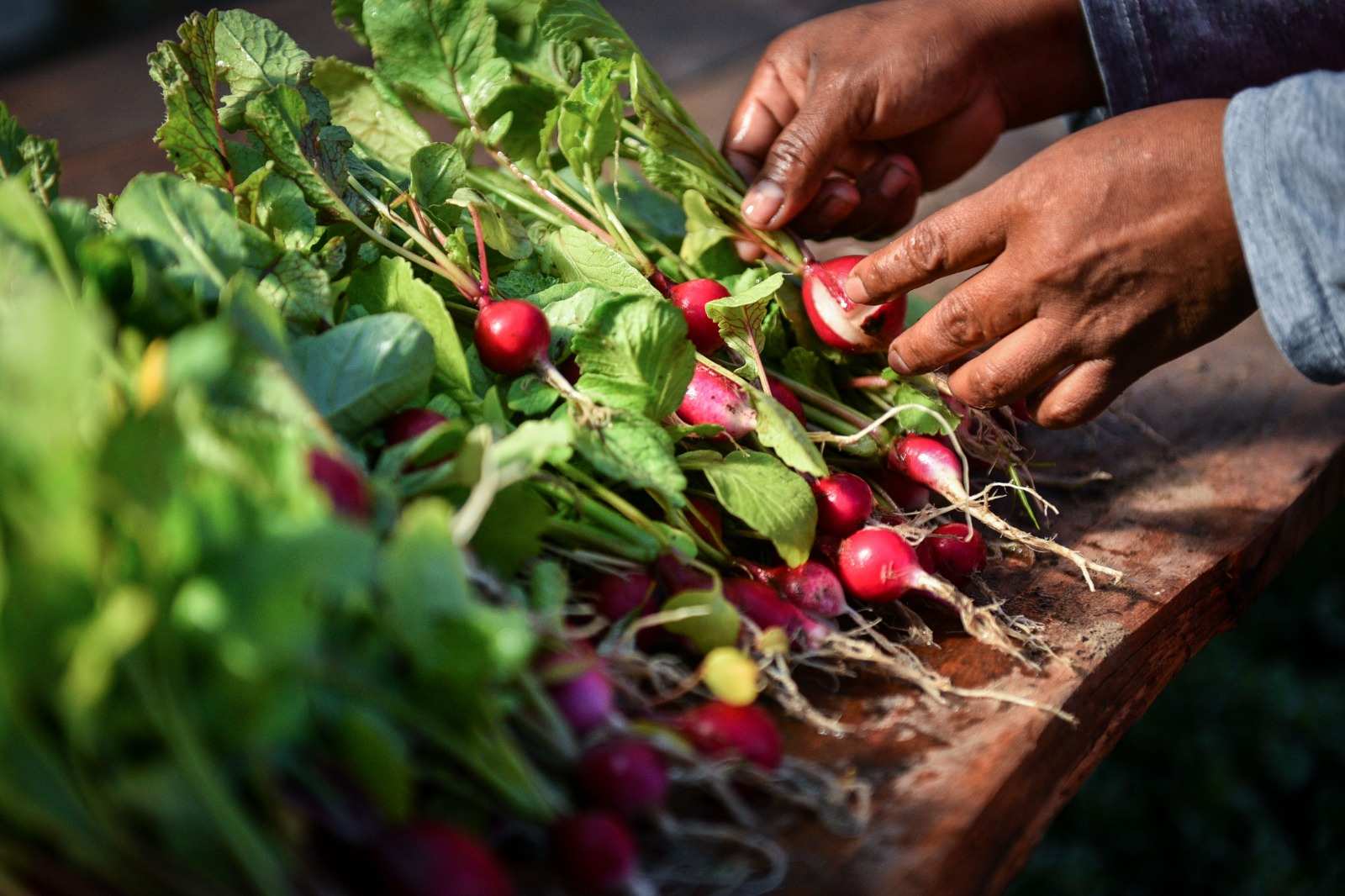 El Ministerio de Economía amplió la asistencia a 89 productores frutihortícolas escobarenses afectados por las tormentas de agosto