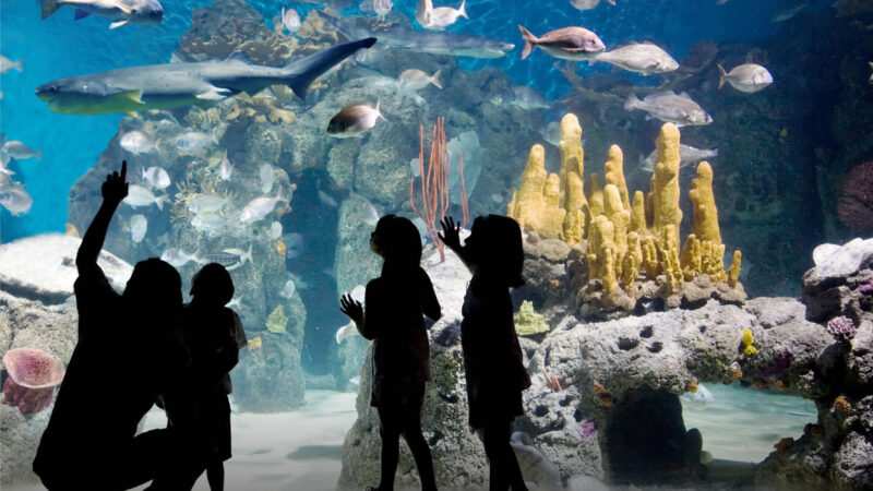 Marzo y Abril, meses azulez en Temaikén