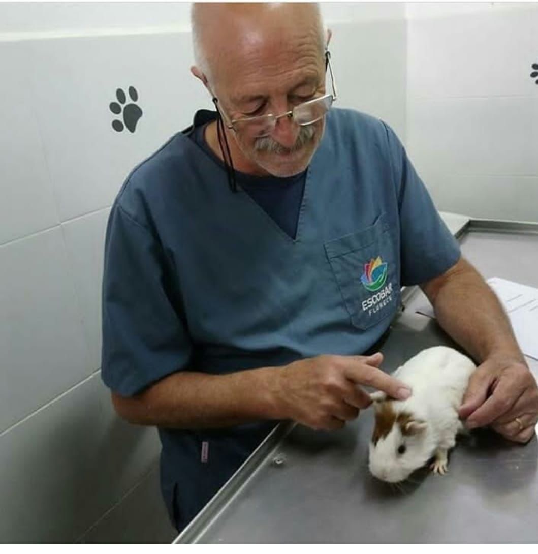 El Hospital Municipal de Zoonosis de Escobar, no solo salva vidas de perros y gatos