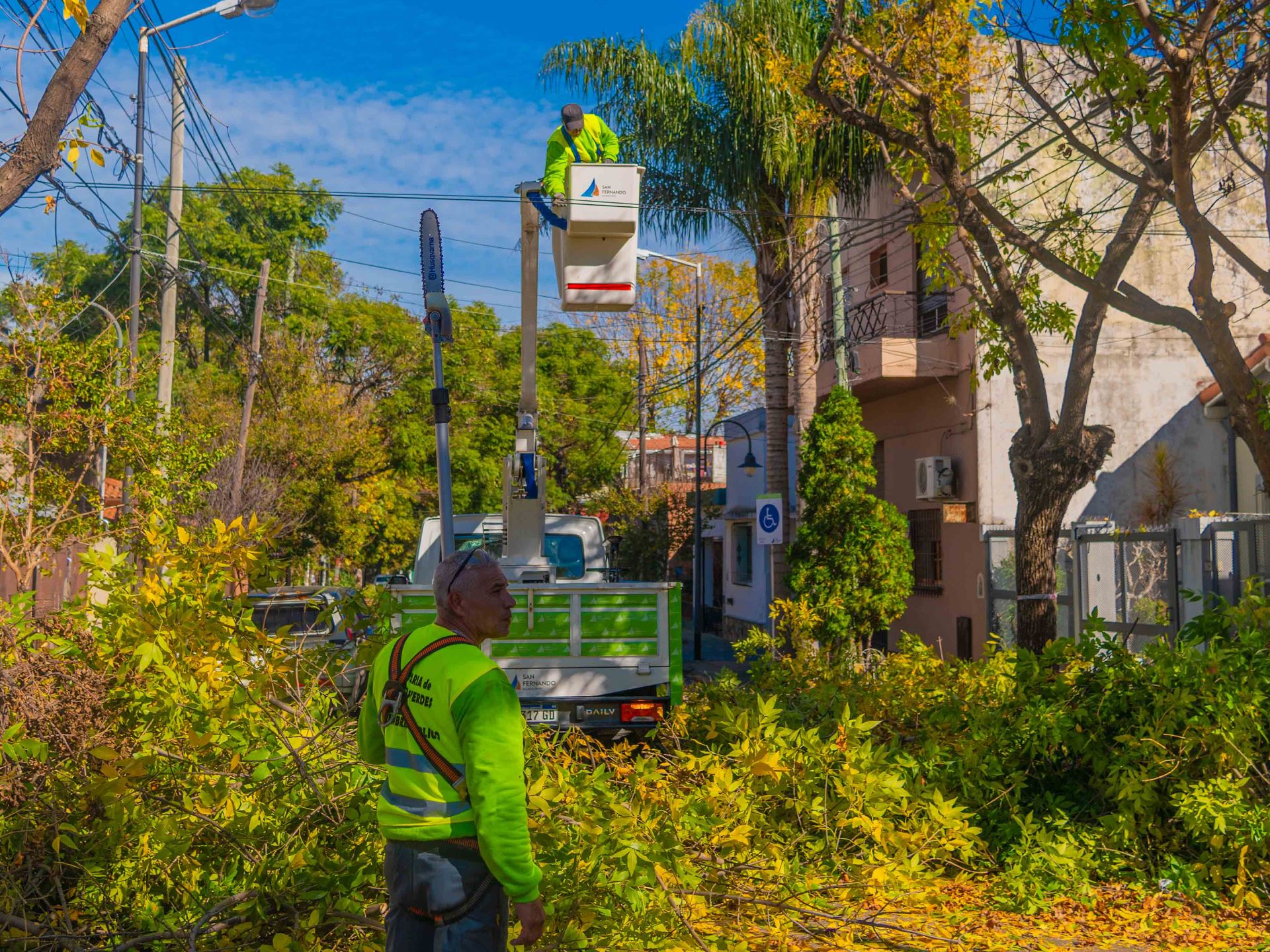San Fernando inició una nueva temporada de poda programada para cuidar los árboles