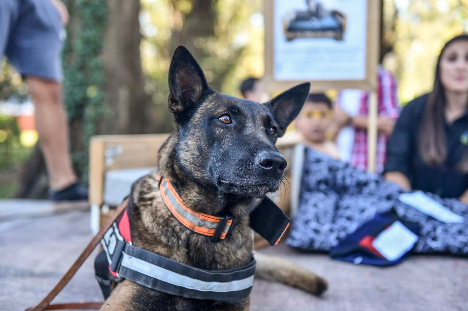 Este sábado, festejos especiales en la Granja Don Benito por el Día del Animal