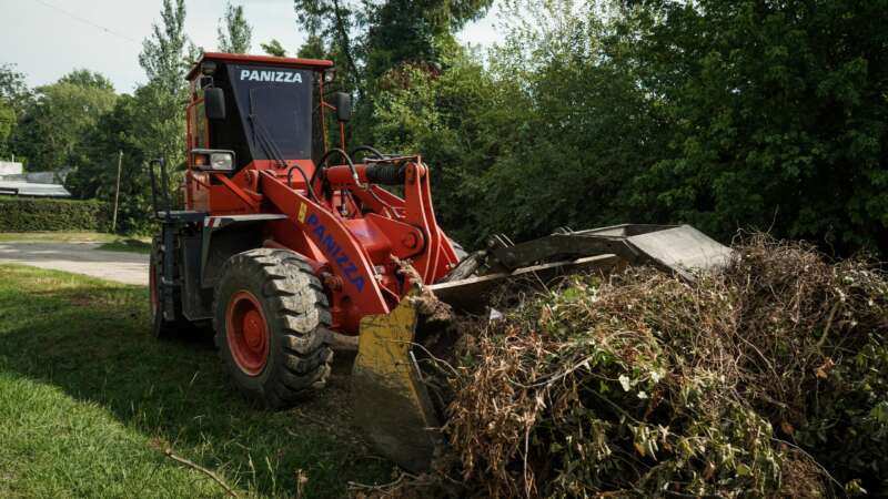 Escobar: Recolección de ramas