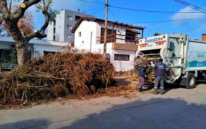 Escobar: Sistema de Recolección de Ramas