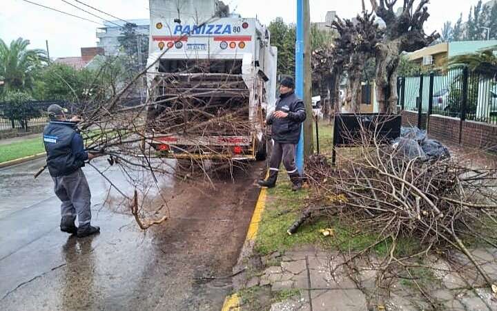 Escobar: sistema municipal de recolección de ramas