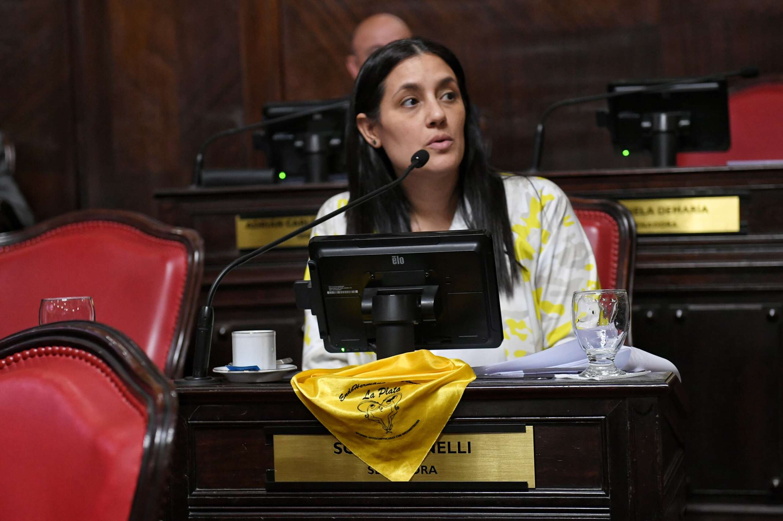 Media sanción del Senado Bonaerense a la Ley de Endometriosis