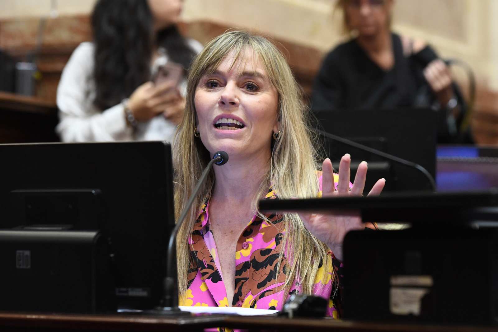 Juliana Di Tullio: “La Argentina toda necesita saber qué pasó con el atentado a Cristina”