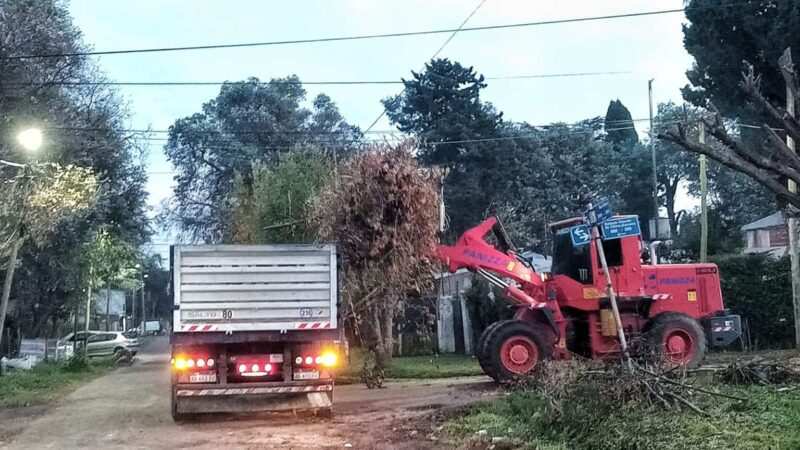 Escobar: sistema municipal de recolección de ramas