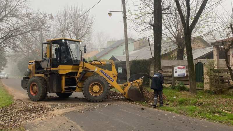 Escobar: Sistema municipal de recolección de ramas