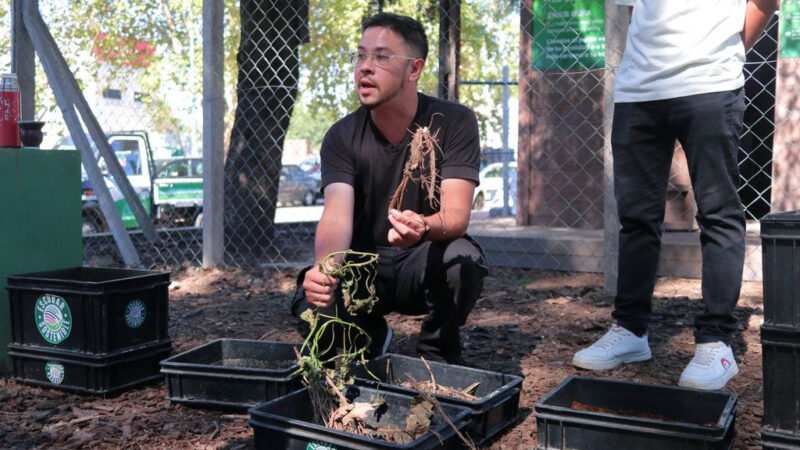 Escobar Sostenible: capacitaciones gratuitas para vecinos locales y de otros distritos