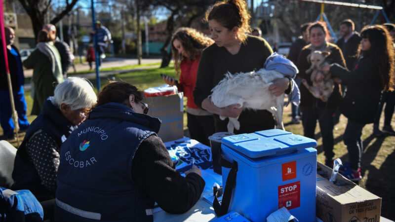 Escobar: Cronograma de jornadas gratuitas de castración y vacunación