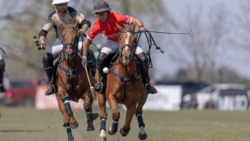 Se viene la gran final del Abierto del Jockey Club