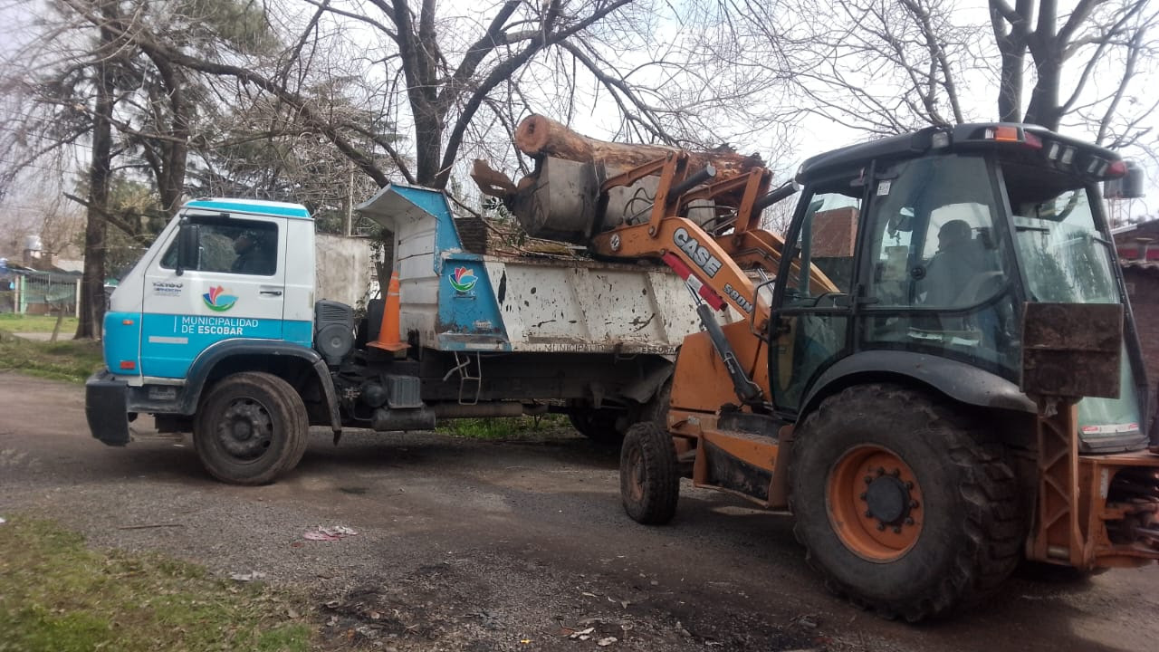 Escobar: Sistema municipal de recolección de ramas