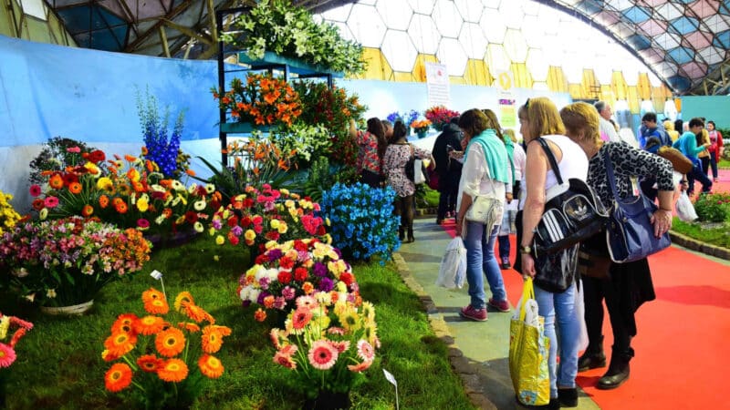 Más de 120 expositores ya confirmaron su presencia en la Fiesta Nacional de la Flor