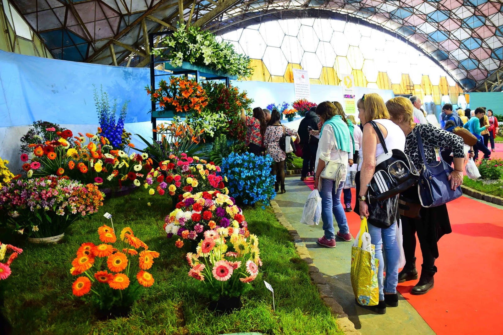 Más de 120 expositores ya confirmaron su presencia en la Fiesta Nacional de la Flor