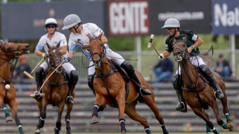 Comenzó el Abierto de Polo de Tortugas 2024: el tercer torneo más importante del mundo