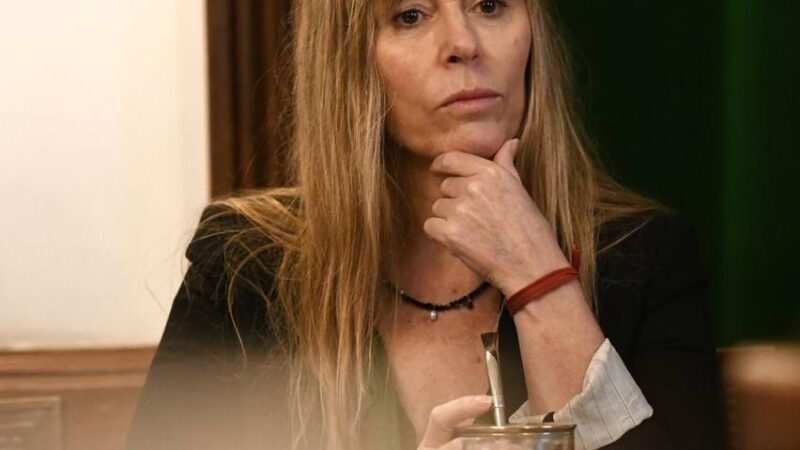 Di Tullio denunció a Milei y Bullrich por los mensajes del paro en la APP “Mi Argentina”
