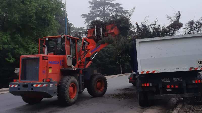 Escobar: Sistema municipal de recolección de ramas