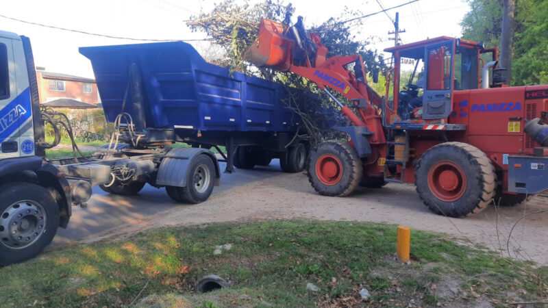 Escobar: Sistema municipal de recolección de ramas