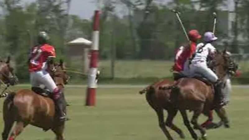 Arrancó el 8° Abierto Argentino de Polo Femenino: talento, historia y pasión en la cancha