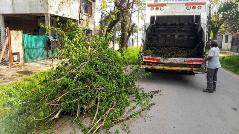 Escobar: Sistema municipal de recolección de ramas