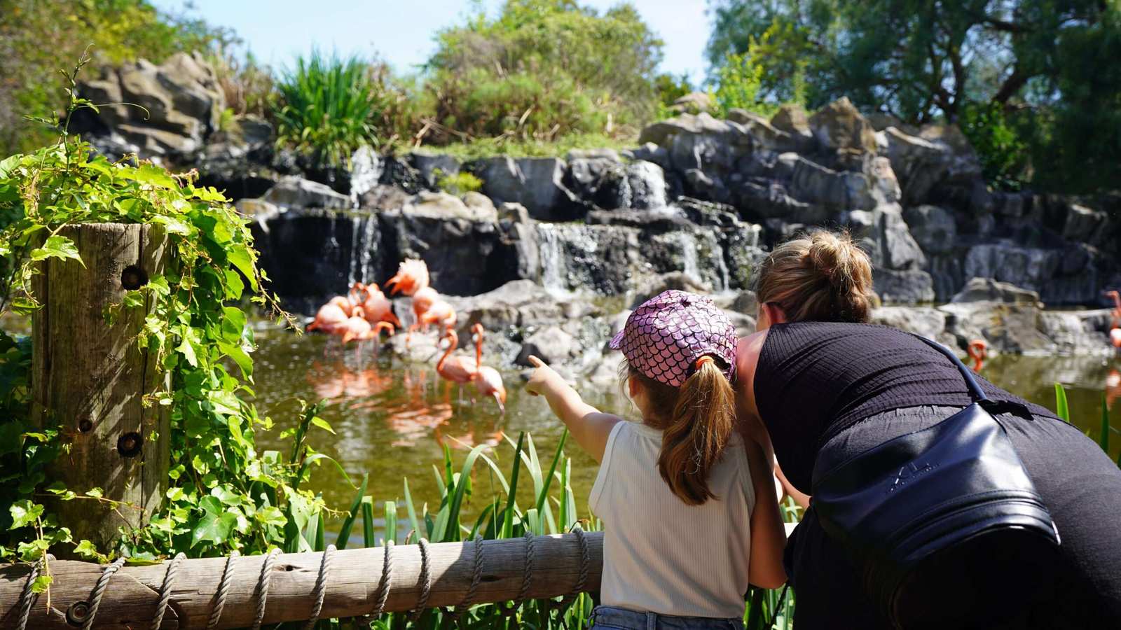 Este Verano, Temaikèn invita a descubrir “El Camino del Guardián de la Naturaleza”