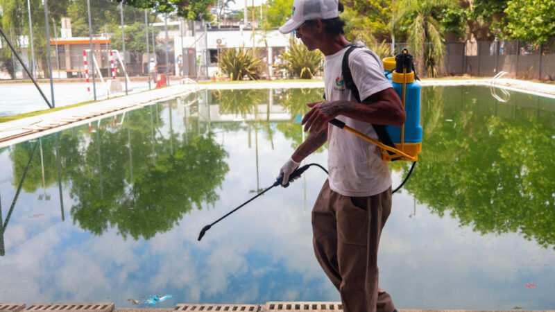 Dengue: consultá el cronograma semanal de bioeliminación de larvas de mosquito en Escobar