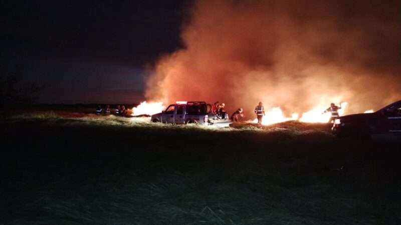 La Provincia de Buenos Aires controló el incendio en la Reserva de Punta Lara