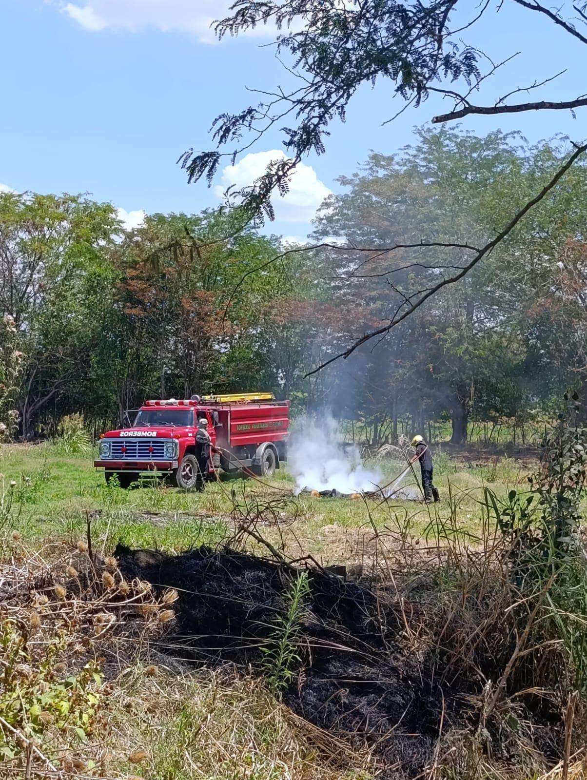 Delitos ambientales: operativos y denuncias de la Municipalidad de Escobar