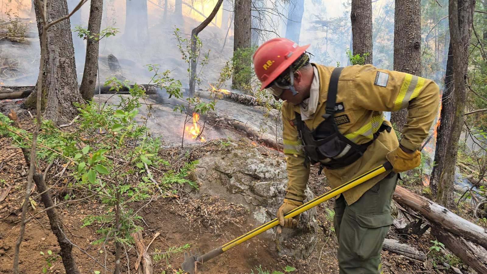 La Provincia envía Brigadistas a Neuquén y refuerza recursos en Río Negro