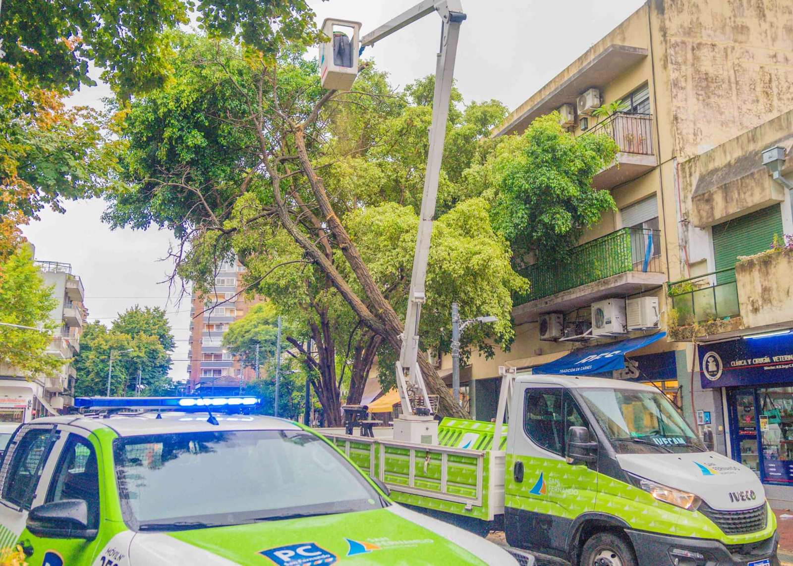 San Fernando reacondiciona la ciudad tras el temporal de vientos de 100 km/h