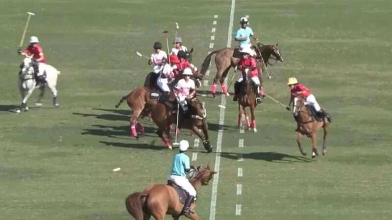 El Relincho, Campeón de la Copa Cañuelas en Palermo – Buena Vibra triunfa en el Abierto de Polo Femenino de EE.UU.