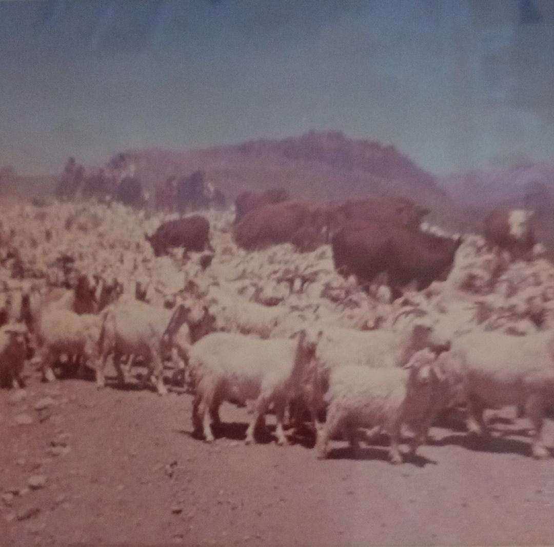 La oración de Habacuc