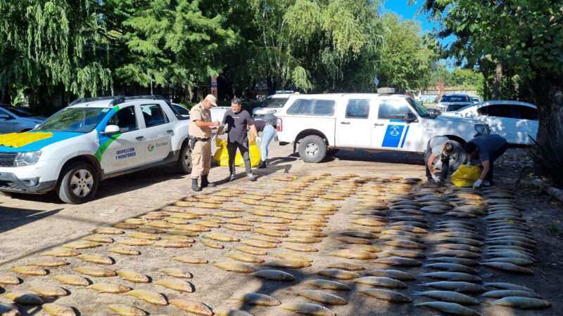 La Municipalidad decomisó 1.200 kilos de pescado que ingresaban a Escobar de manera clandestina