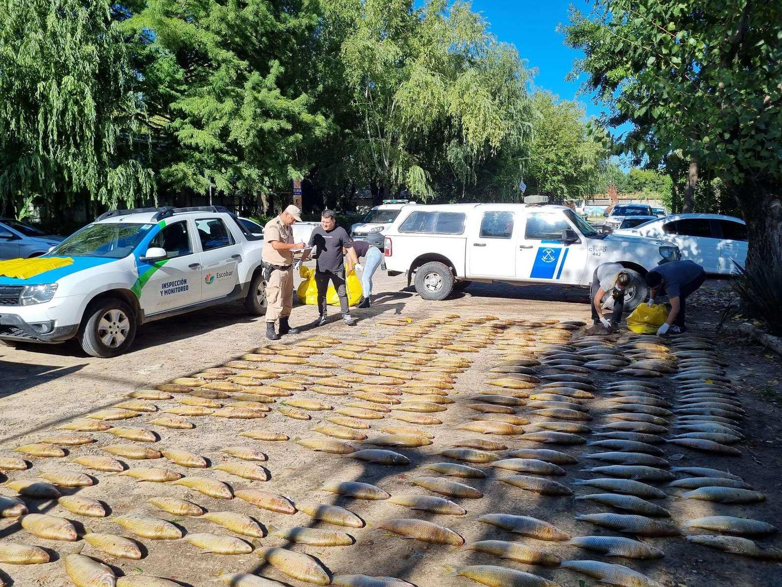 La Municipalidad decomisó 1.200 kilos de pescado que ingresaban a Escobar de manera clandestina