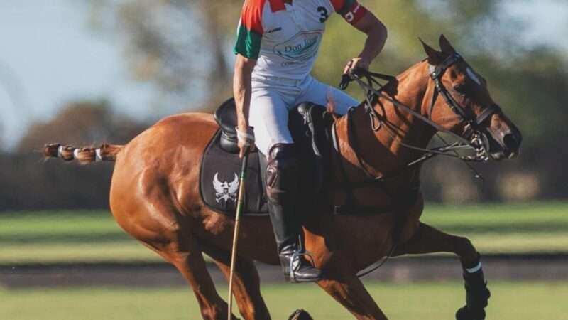Black Truffle y Casablanca, campeones en Argentina y EE.UU.