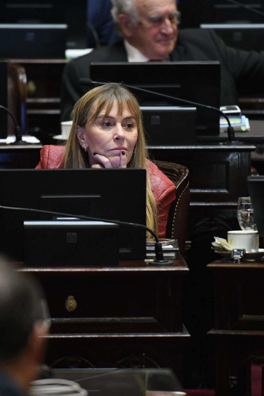 Di Tullio: “No se llama Ficha Limpia, se llama Ley de Proscripción a Cristina Kirchner y es inconstitucional”