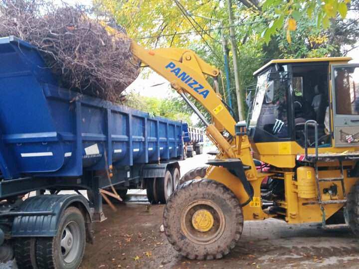 Escobar: Sistema municipal de recolección de ramas