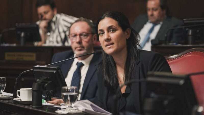 Vannelli repudió el fallo contra Cristina: “Judicializar la política es romper el equilibrio democrático”