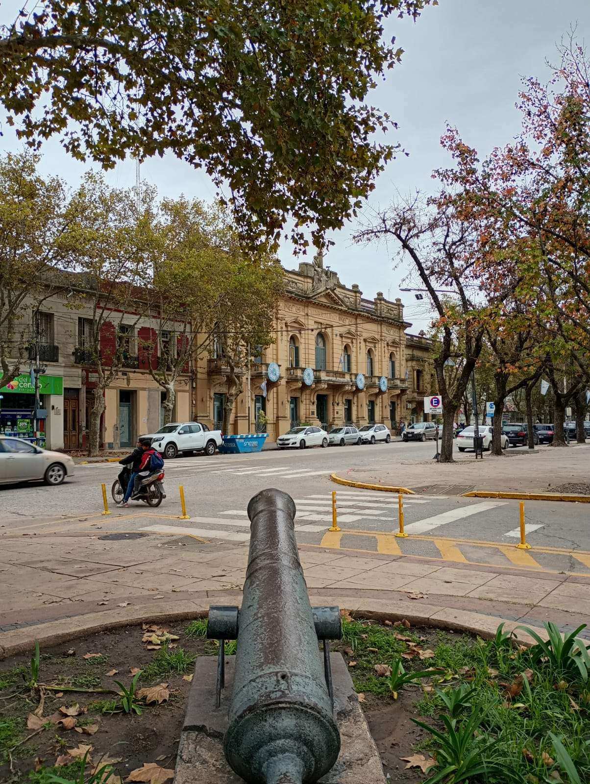 Nuestra Bandera y Color